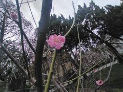 -南通博物苑-崇川人民公园