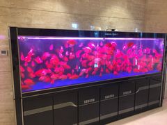 -常州逸高酒店-中餐厅