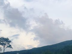 -武陵山森林公园