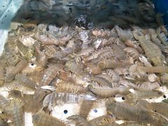 -海味当家(西安路店)