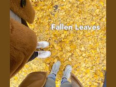 -四川大学(华西校区)