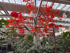 -兴芮温泉度假区