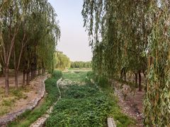 -东坝千亩湖公园