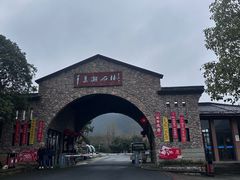 -千岛湖石林