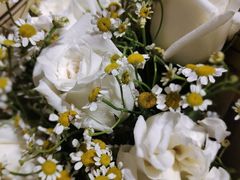 -循礼门鲜花花市(武汉循礼门店)