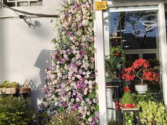 -FEI FEI FLOWER鲜花店·气球派对·宝宝宴布置(虹口德必运动Loft店)