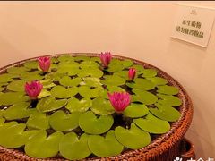 -第六季自助餐厅(北太平庄店)