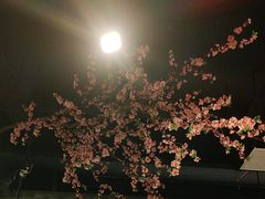 -卢大鲜鱼头捞饭(美利广场店)