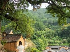 -杨家堂村