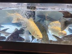 -胖东来生活广场(健康路店)