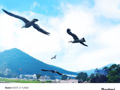 -大连老虎滩海洋公园
