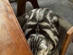 -咖法森林·咖啡  酒吧(天河店)