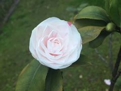 -稻香餐厅中餐干锅(劼人路店)