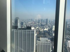 -东京都厅舍