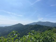 -北京西山国家森林公园