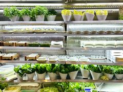 -番食园鲜食火锅(高新店)