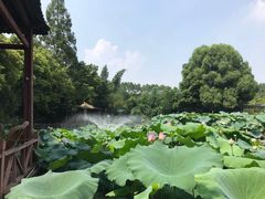 -三圣花乡旅游区