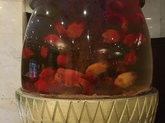 -御花园·粤菜·海鲜火锅(中山公园店)