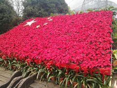 -南山植物园