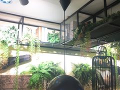 -外婆小聚茶餐厅·生日·团建(市民中心店)