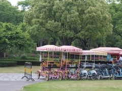 -贡湖湾湿地公园