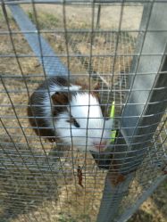 -萌宠亲子动物乐园(槐房万达店)