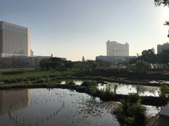 -龙环葡韵住宅式博物馆