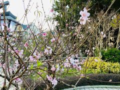 -乌山风景区