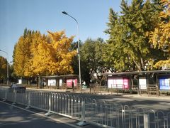 -秋栗香(地安门店)