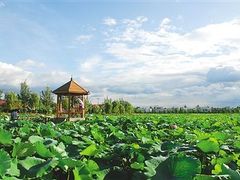 -三圣花乡旅游区