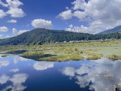 -腾冲北海湿地