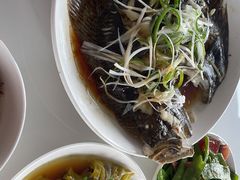 -田螺阿姨自营月嫂·育儿嫂(高新店)