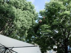 -COTTON CAFE(德信·中外公寓店)