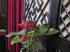 -羲和雅苑•北京烤鸭(平安国际金融中心店)