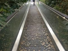 -上海月湖雕塑公园