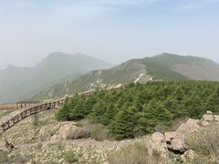 -白草畔自然风景区