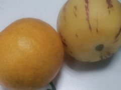 -鲜丰水果(杭州闲林山水店)