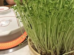 -廣順興(天明路店)