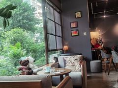 靠窗位-咖法森林·咖啡  酒吧(天河店)