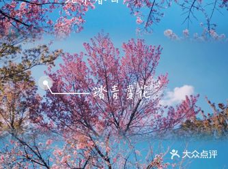 北京春天 | 周末玩乐 | 春日美食 | 免费资讯|快闪活动