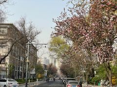 -天津五大道文化旅游区