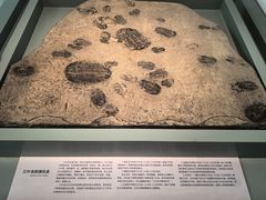 -云南省博物馆
