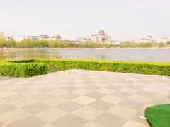 -莲花池公园