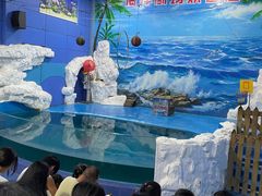 -左海海底世界