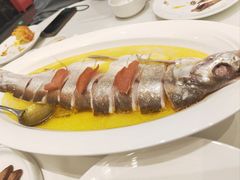 鸡汁蒸大白鱼-万龙洲海鲜(大兴绿地缤纷城店)