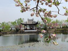 -无锡蠡湖国家湿地公园-蠡园