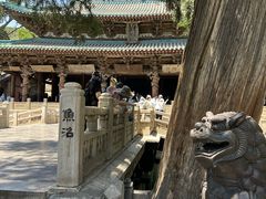 -晋祠公园