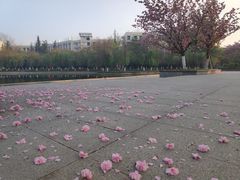 -成都大学-图书馆