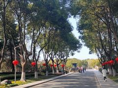 -昆山城市生态森林公园