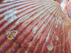 -好兄弟郭巨海鲜(天一阁店)